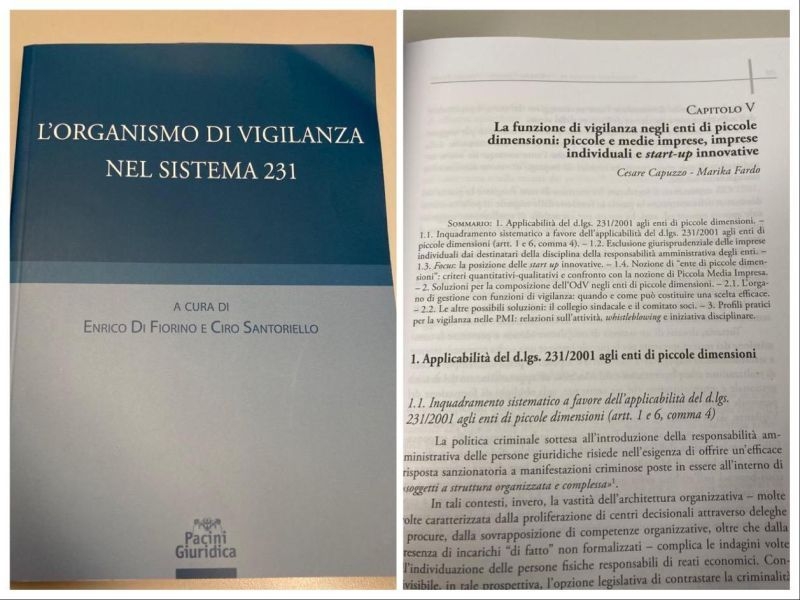 L’Organismo di Vigilanza nel Sistema 231