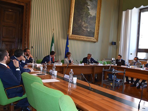 PROPOSTE DI RIFORMA DELLA “COMMISSIONE BRICCHETTI” IN TEMA PENALE FALLIMENTARE