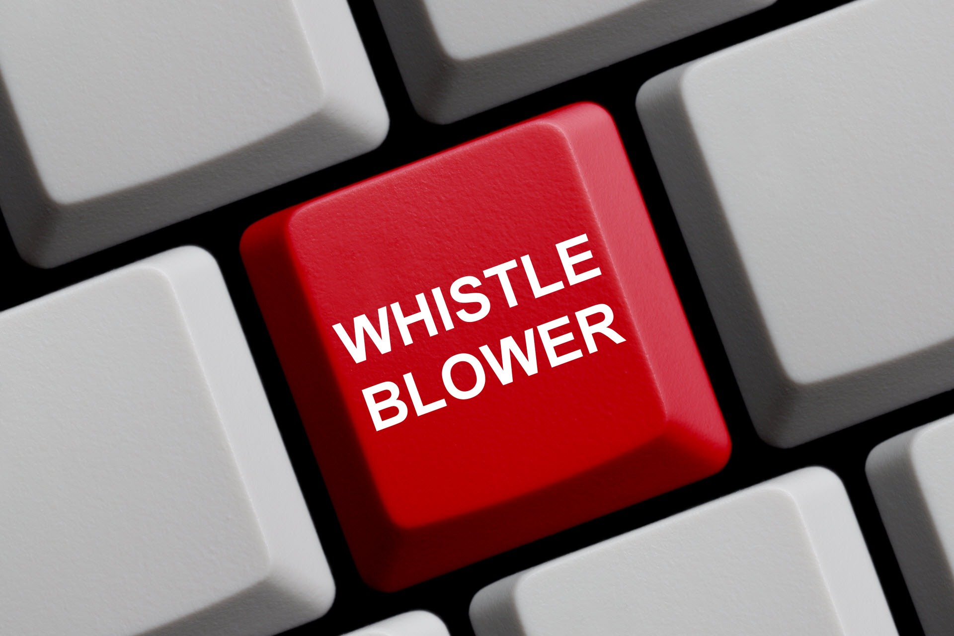 WHISTLEBLOWING: PENAL PROFILES